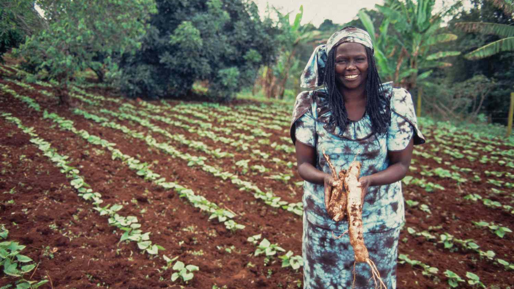 Wangari Maathai:  Being the Change in a Changing World - Kanju Interiors