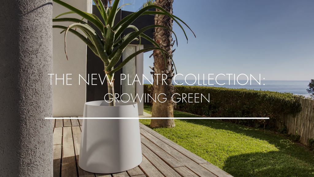 The New Plantr Collection: Growing Green