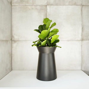 Conva Indoor Planter - Kanju Interiors