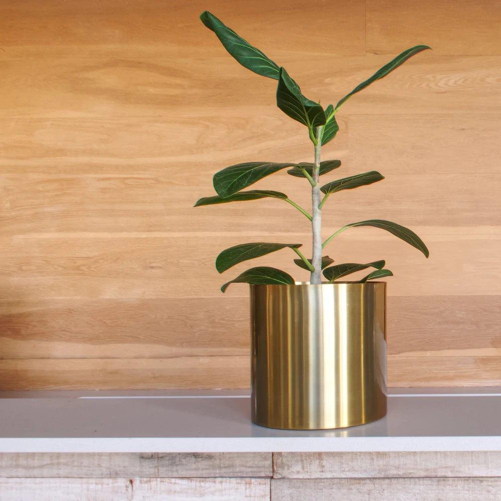 Minilux Aurous Planters