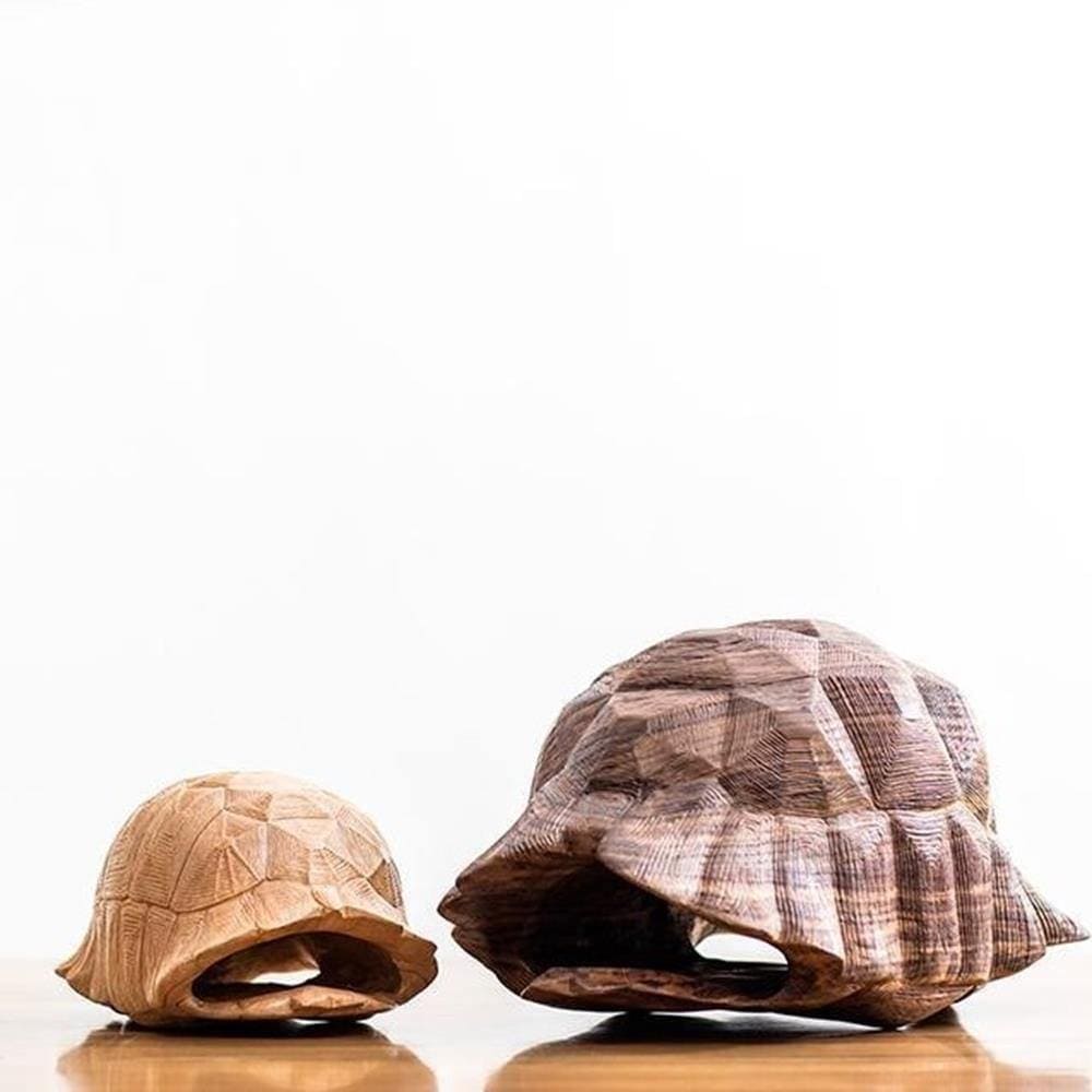 Timber Tortoise Shells - Kanju Interiors